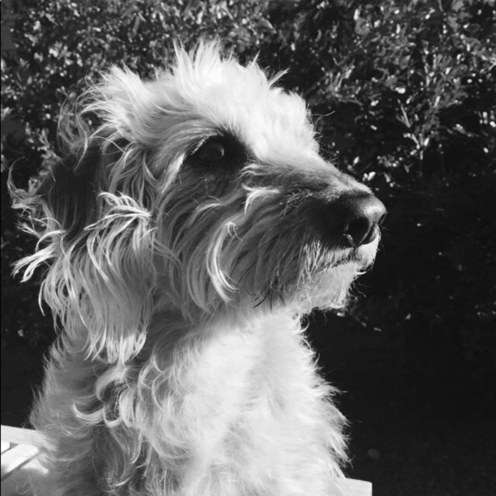 Meet your Posher, Debra